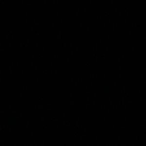 Meet your Posher, Issa